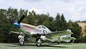 F-6D Mustang Dragon 1-32 Lauerbach Peter 01